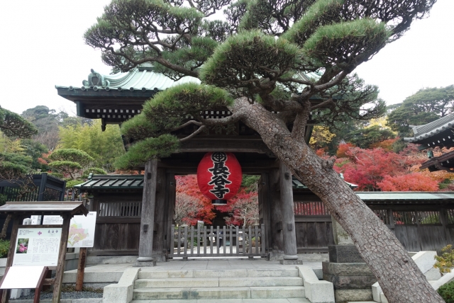 Hase dera Temple, Kamakura