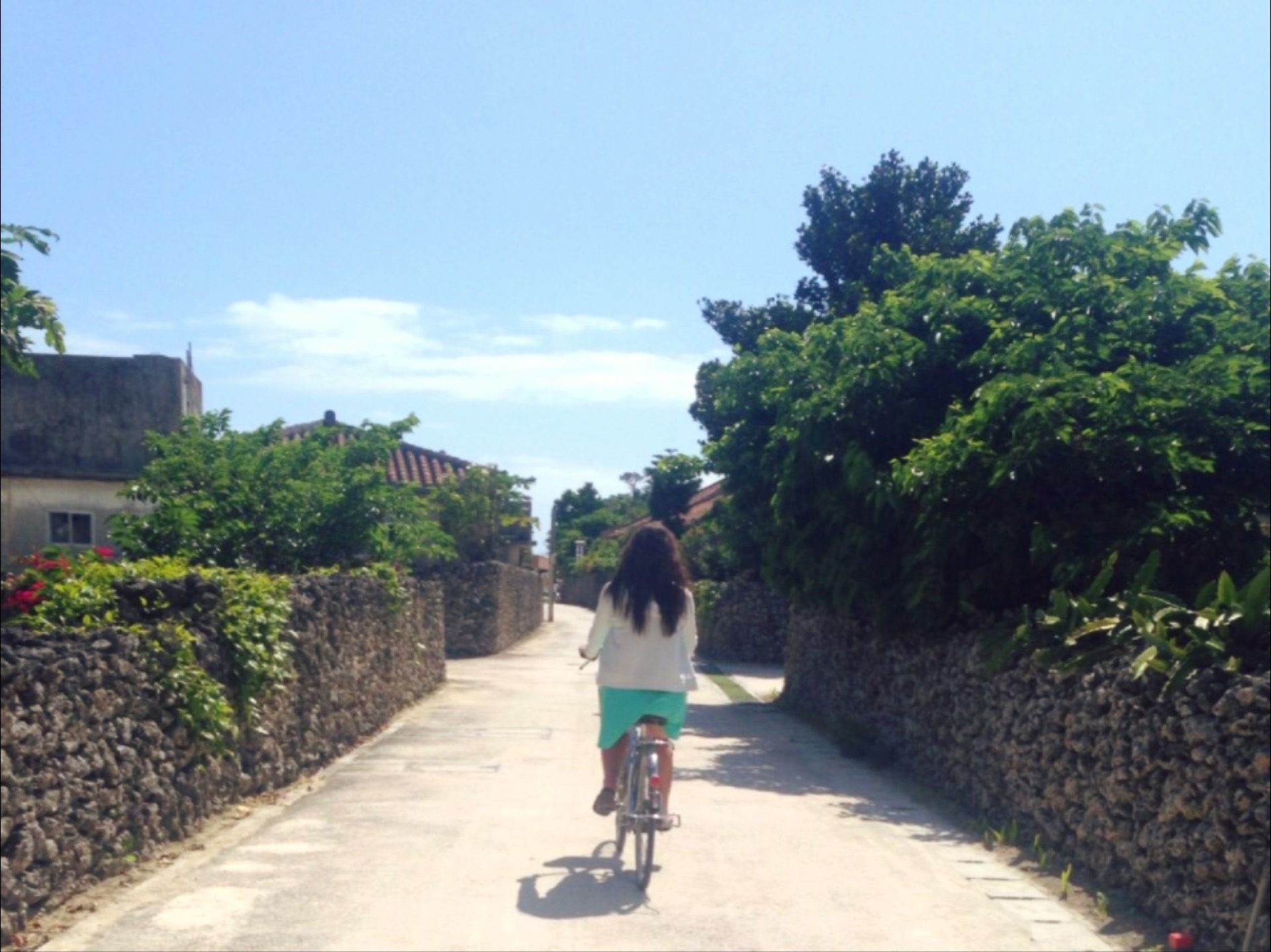 rental bicycle in taketomi, okinawa, Japan