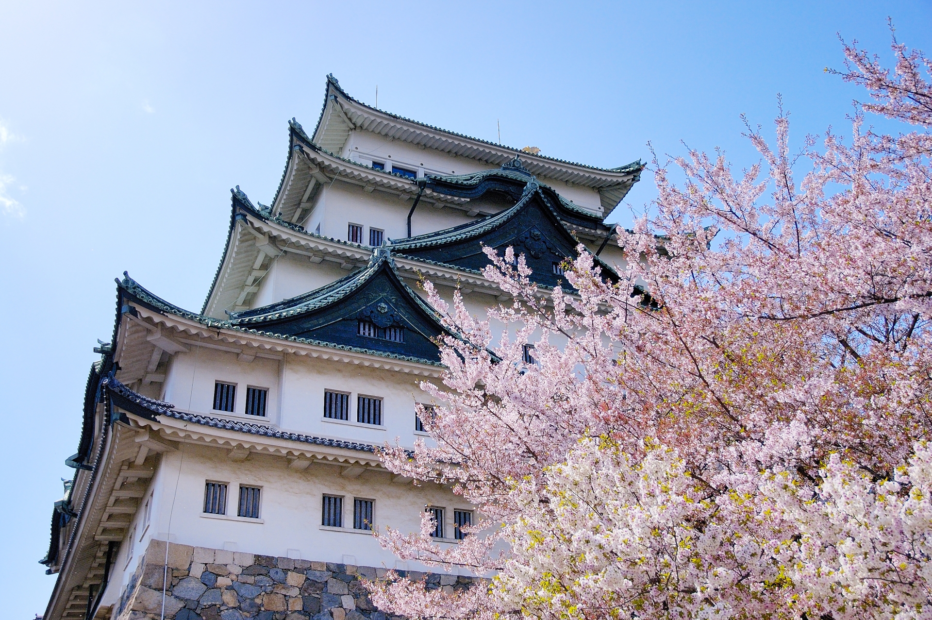 Nagoya Castle - Things to Do in Nagoya, Aichi, JAPAN