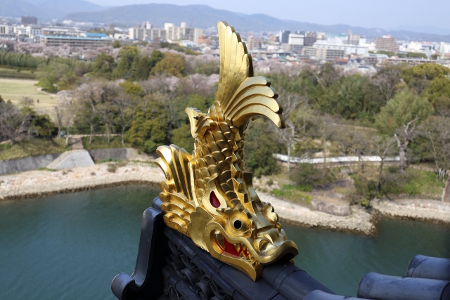 Nagoya Castle - Things to Do in Nagoya, Aichi, JAPAN