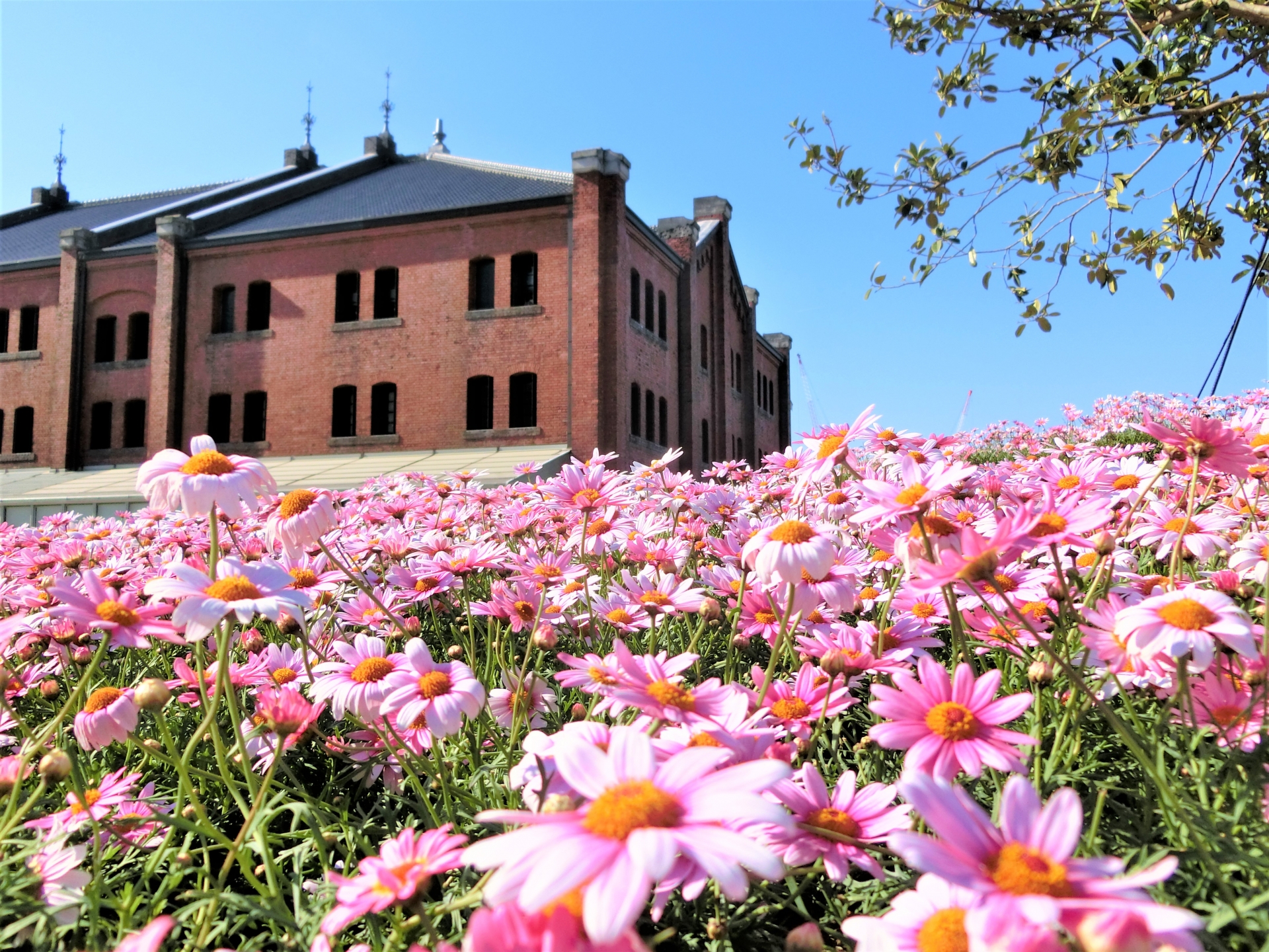 Yokohama Redbricks Warehouse