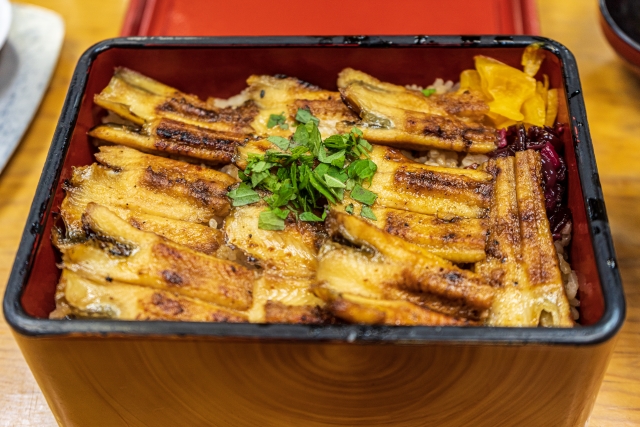 hiroshima-food_anago-meshi