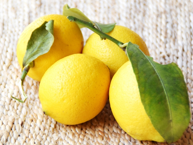 hiroshima-food_lemon