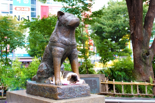 shibuya-Hachiko-Statue