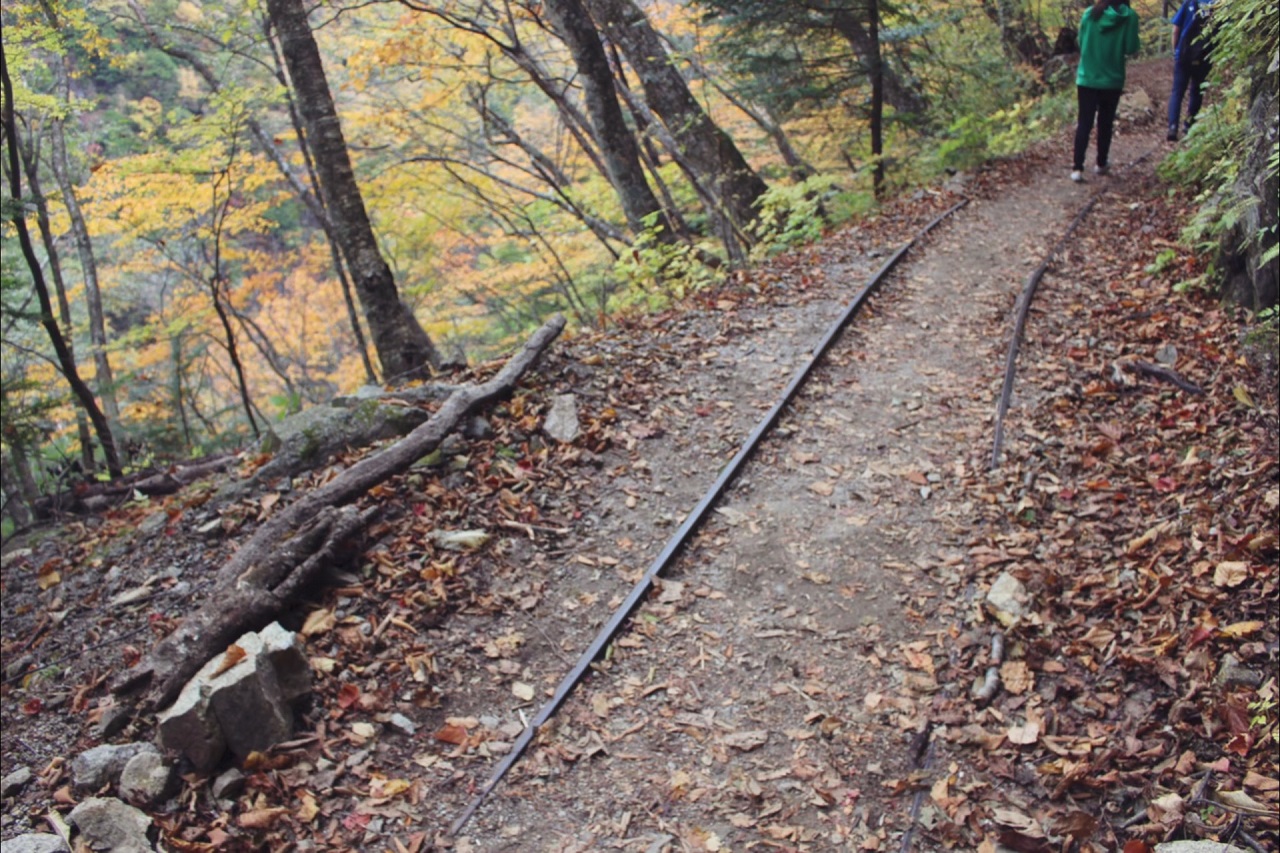 The Remains of Forest Railway in Nishizawa Valley, Yamanashi, Japan