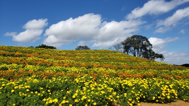 Tokyo German Village, Chiba, Japan