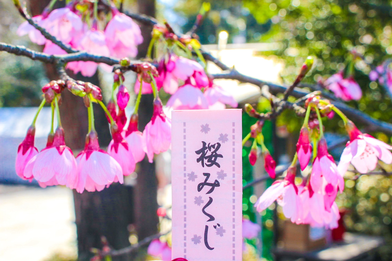 Sakuragi shrine, Chiba