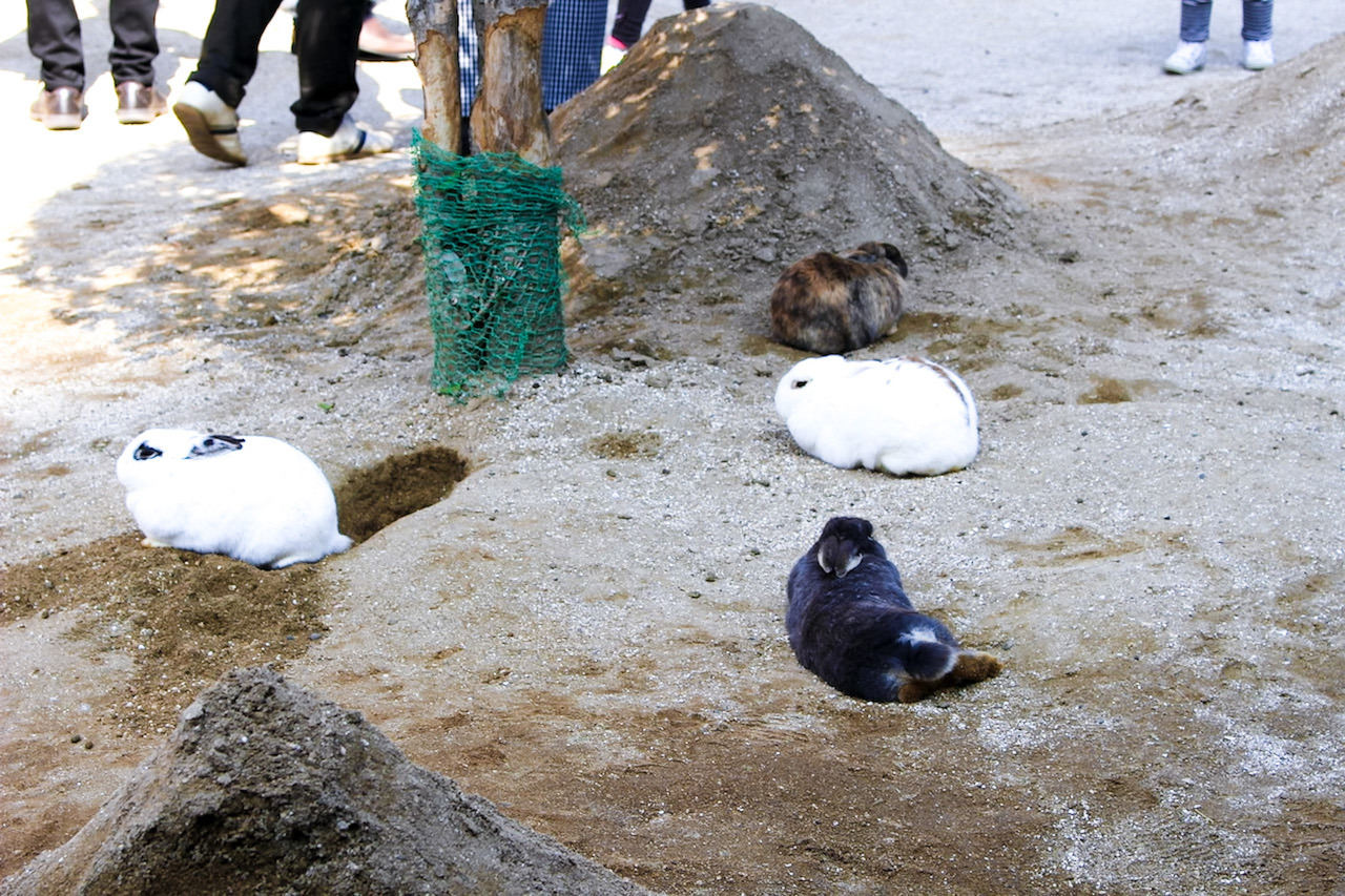 Ushiku Daibutsu, Ibaraki, Japan