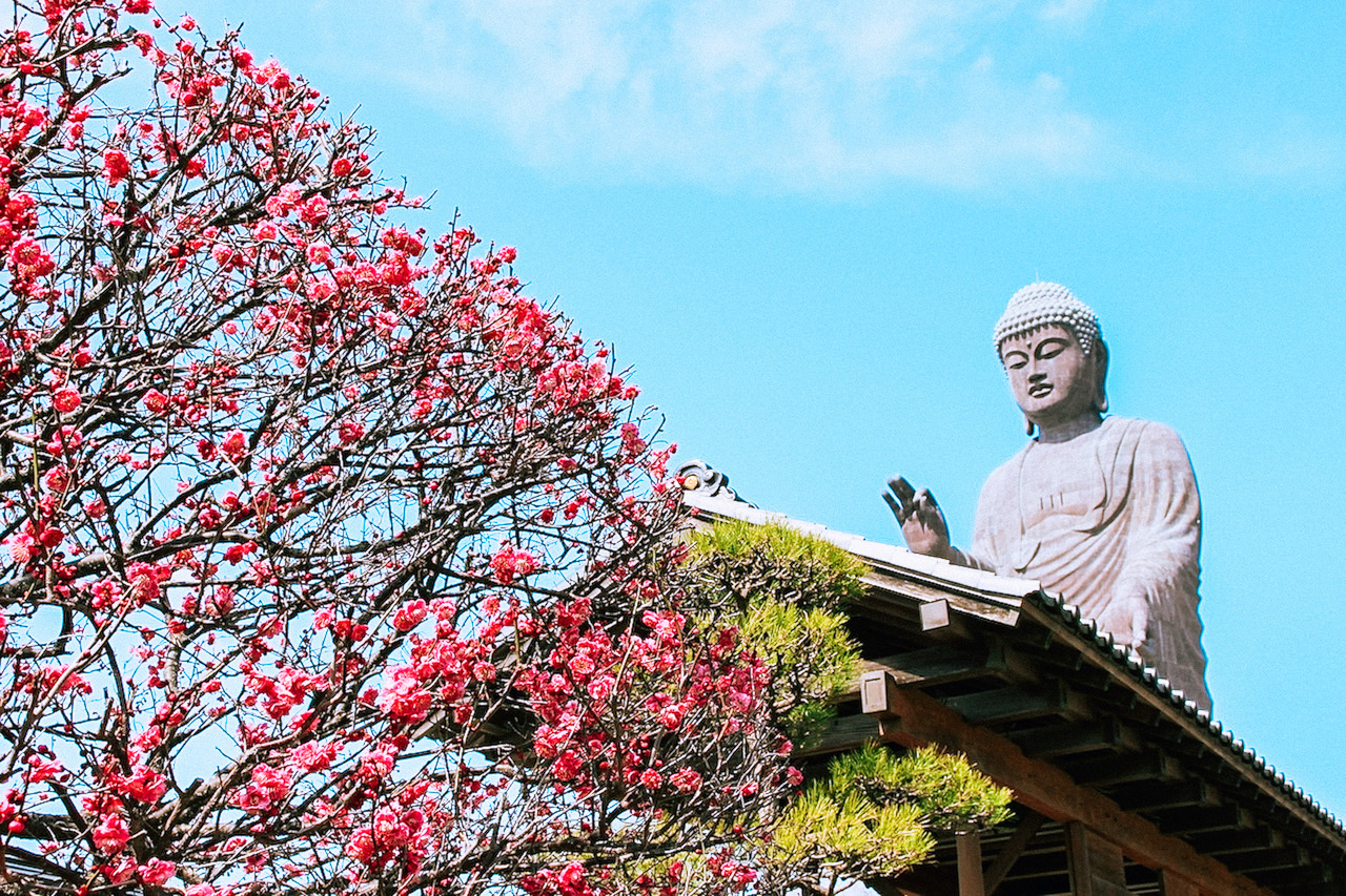 Ushiku Daibutsu, Ibaraki, Japan