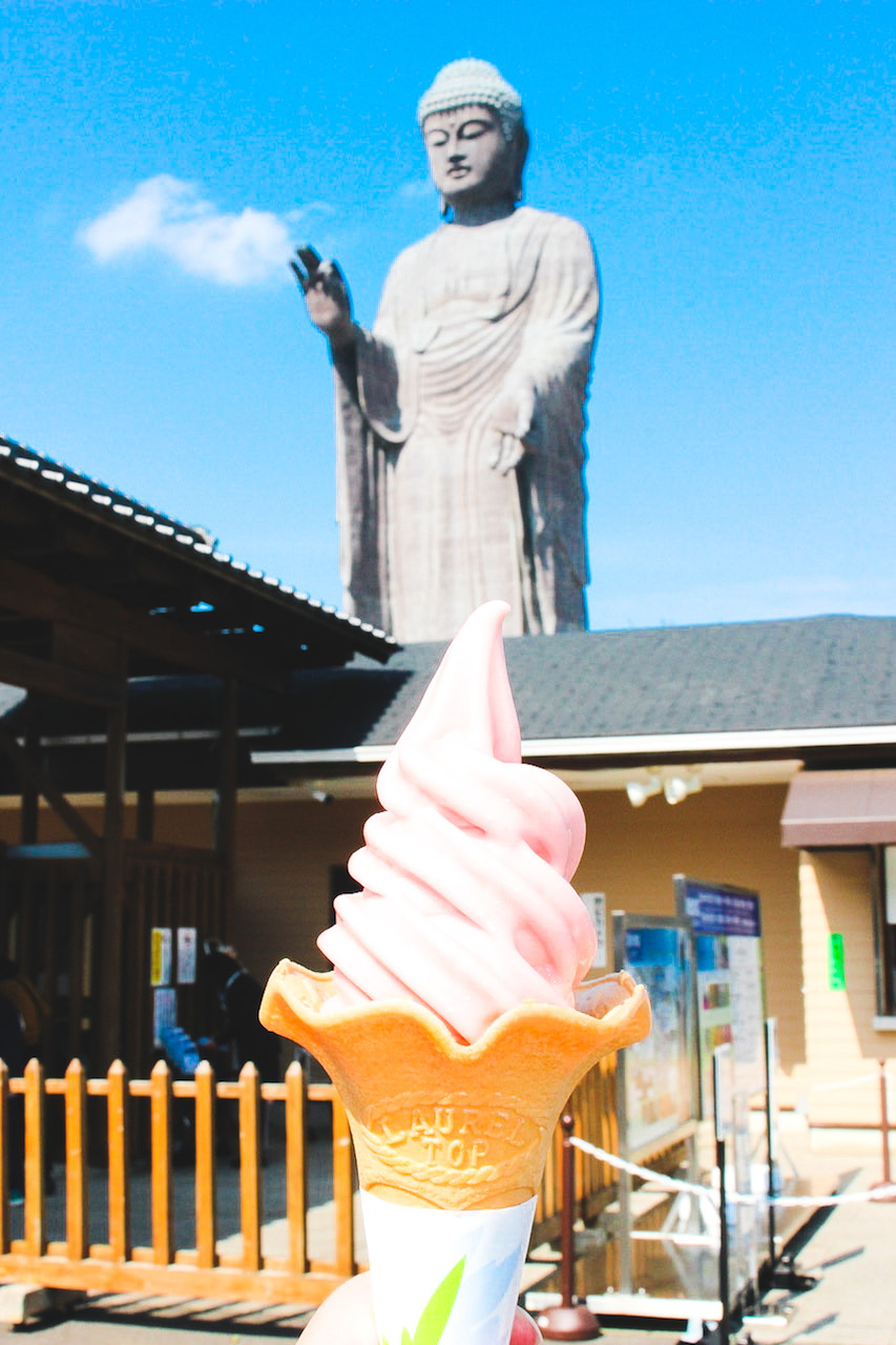 Nakamise dori street, ushiku daibutsu, Ibaraki, Japan