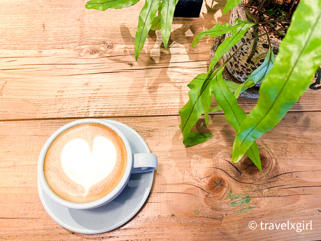 Nisoku Hokou Coffee Roasters - Cafe, Sangenjaya, Tokyo