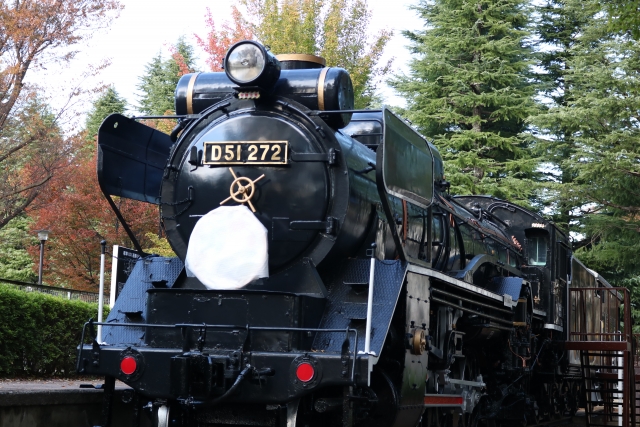 SL in Setagaya Park, Tokyo