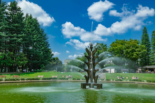 Setagaya Park, Sangenjaya