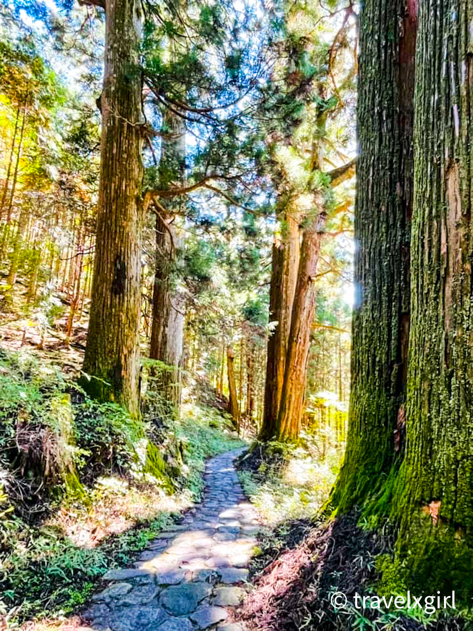 futarasan path, Nikko, Tochigi, Japan
