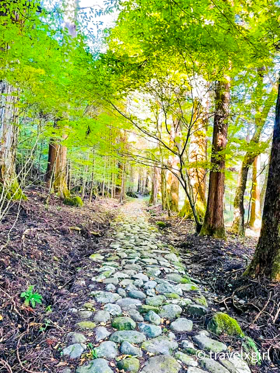 The Old Takinoo kodo road, Nikko, Tochigi, Japan