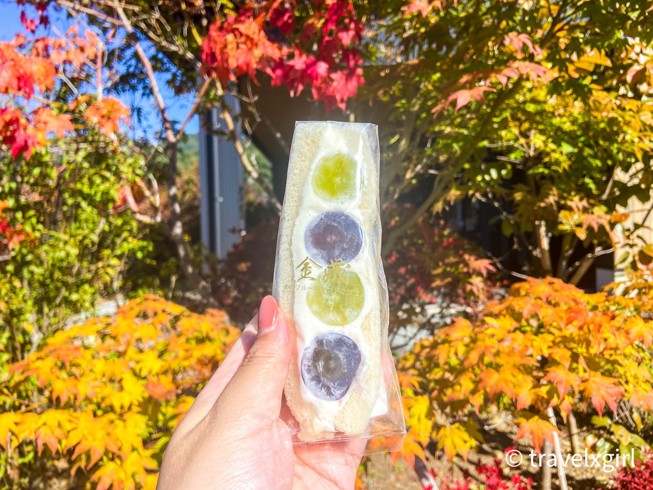 Fruits Sandwich -Fujisan Fruits Sand Kinzo : Lake Kawaguchiko area, Yamanashi