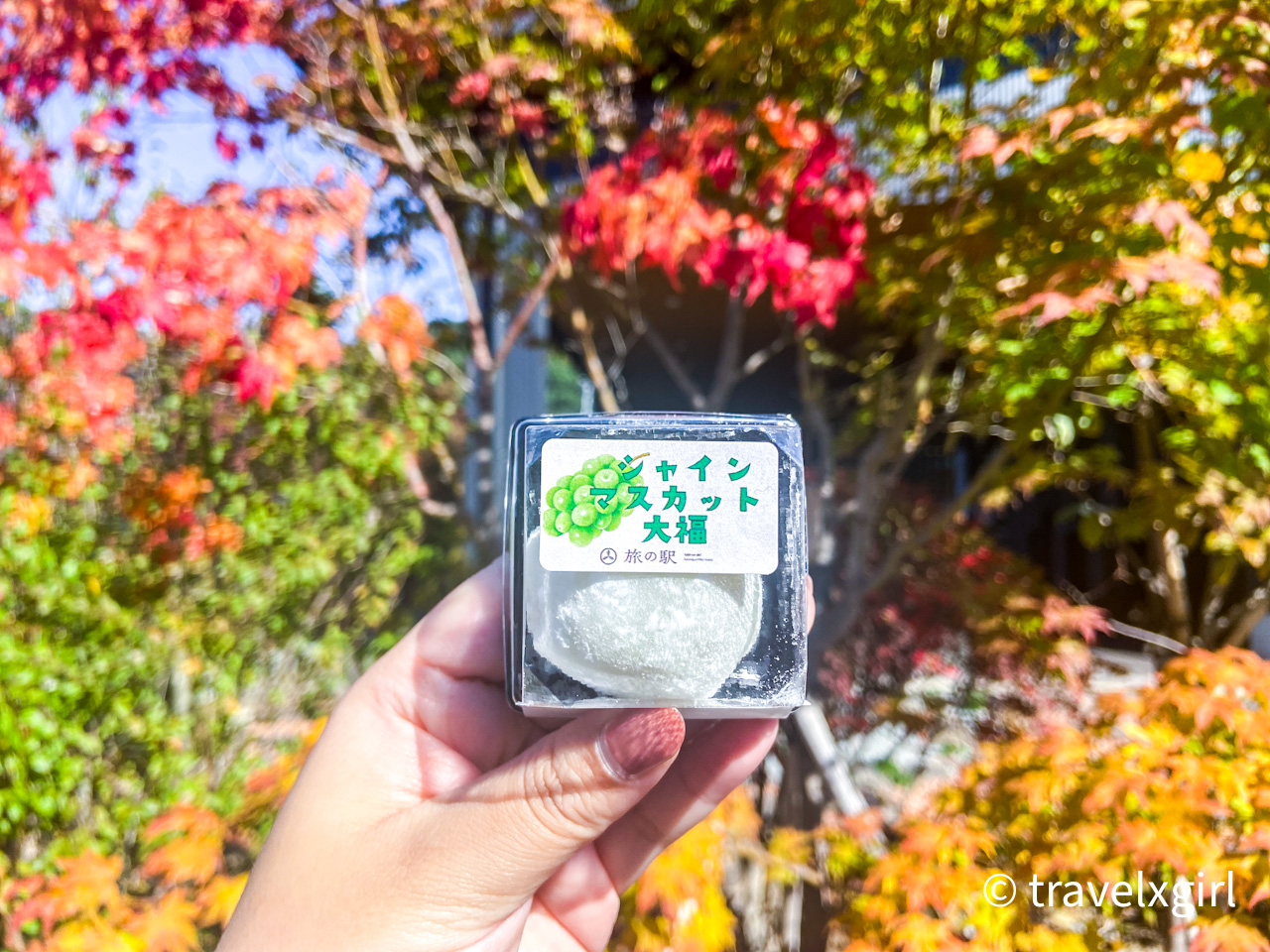 Shine Muscat Fruits Daifuku  : Lake Kawaguchiko area, Yamanashi
