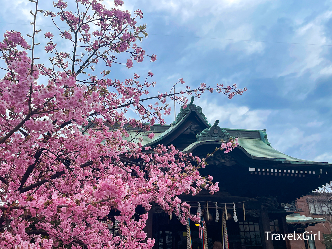 Sakura Jinja Shrine in Sakura Shinmachi