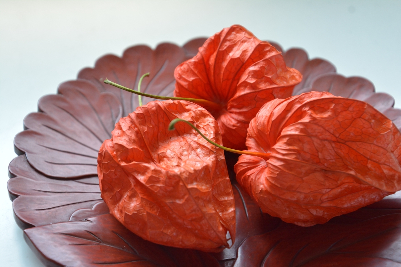 Kamakura bori - Kamakura Carved Lacquerware, souvenir from Kamakura