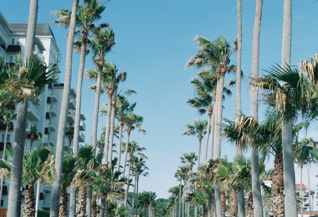Zushi Marina