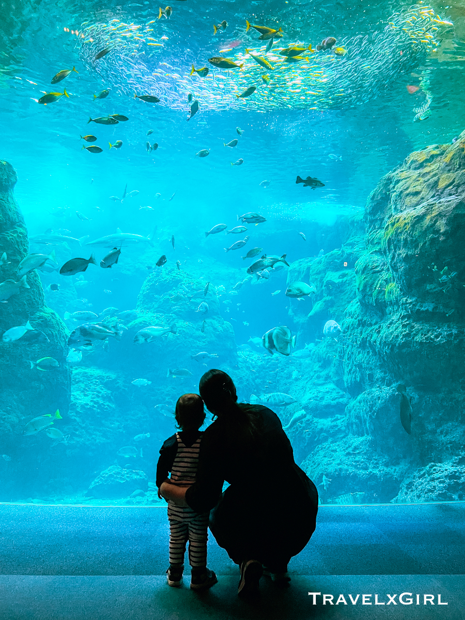 Mom and Son at Enoshima Aquarium