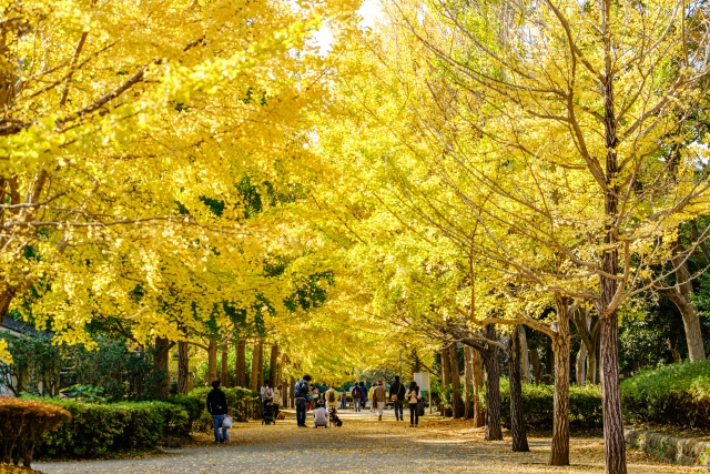 Nango Kaminoyama Park, Hayama