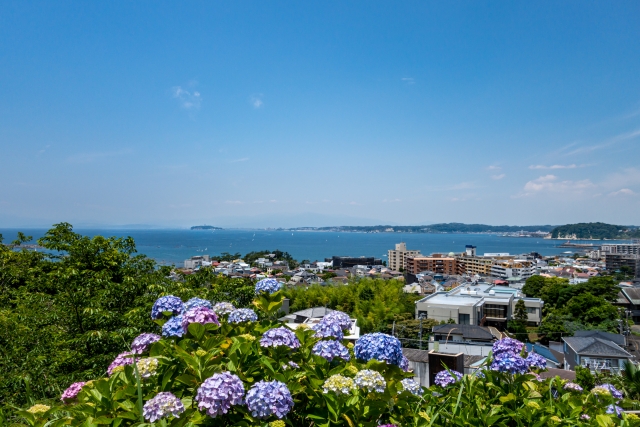Hayama Hydrangea Park
