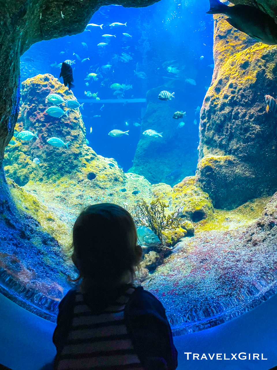 Enoshima Aquarium