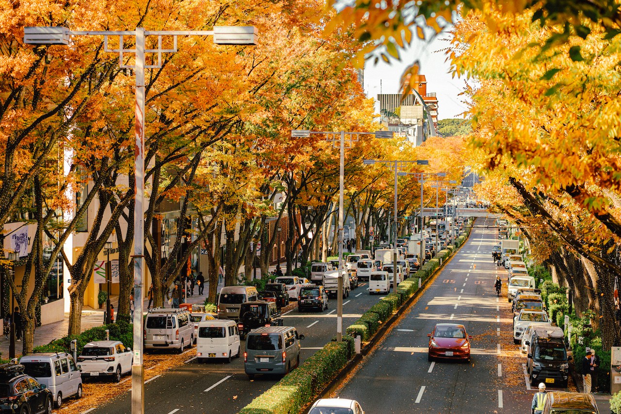 Omotesando Street, Tokyo