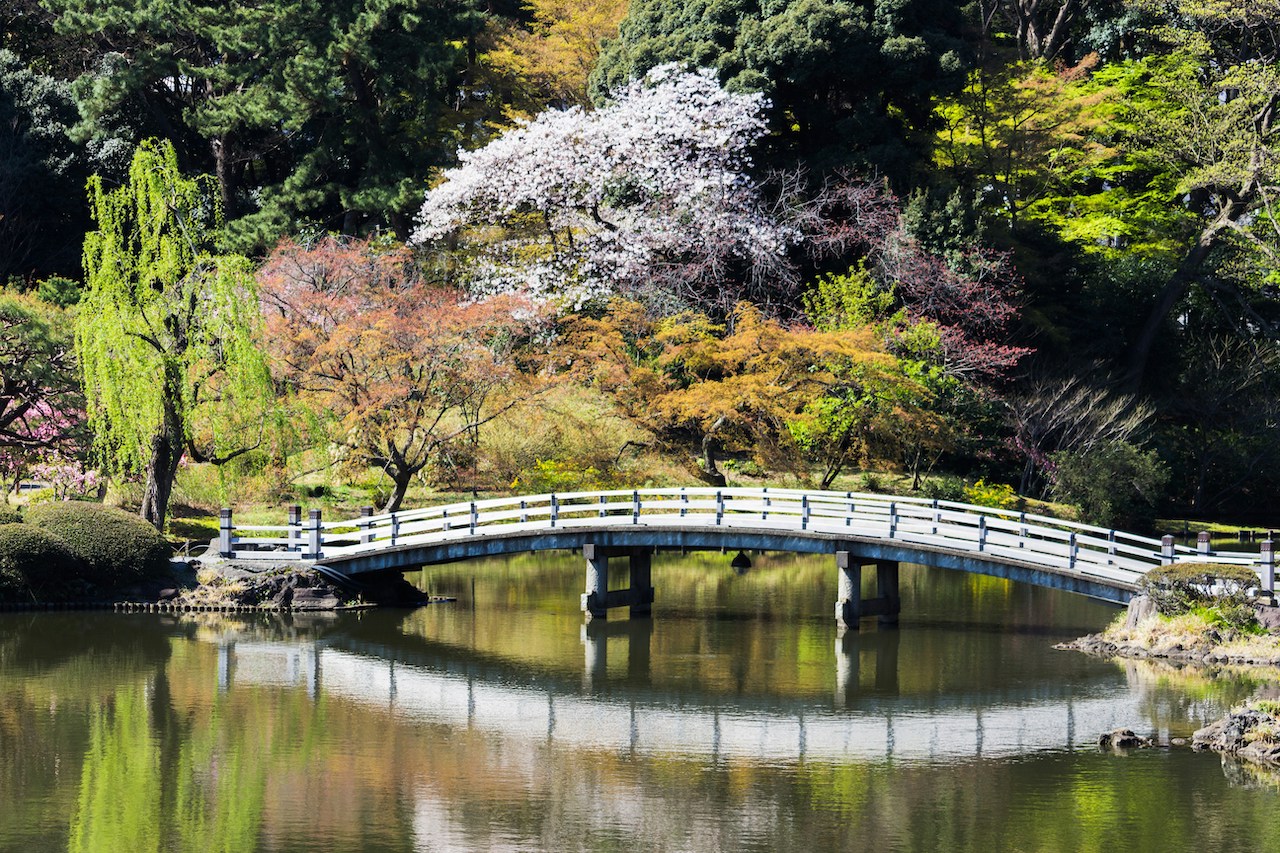 shinjuku gyoen national garden, Shinjuku,tokyo