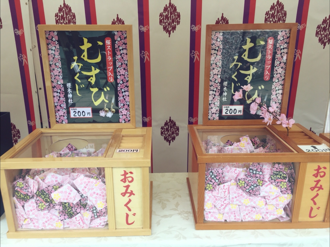千葉：櫻木神社へ参拝！おみくじ