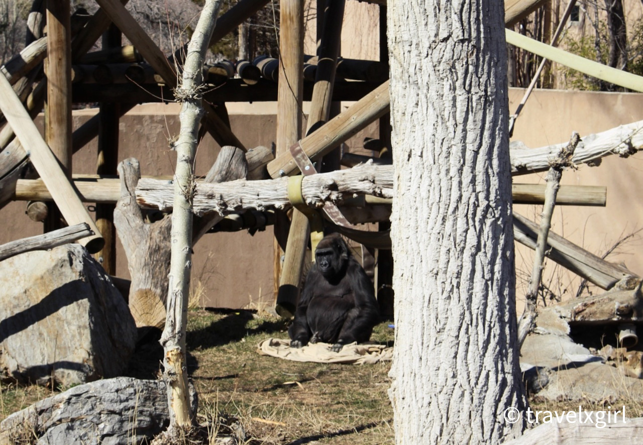 ホーグル動物園：ソルトレイクシティ、ユタ州、アメリカ