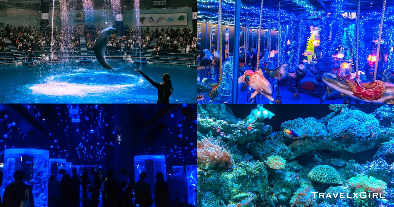 Aquarium Maxell aqua park - shinagawa, Tokyo